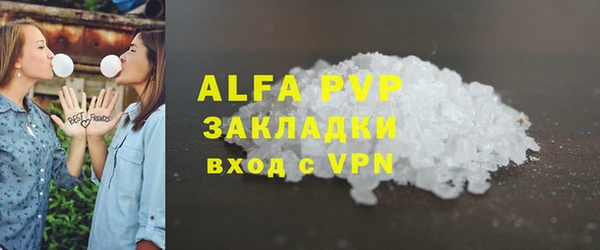 ПСИЛОЦИБИНОВЫЕ ГРИБЫ Магас