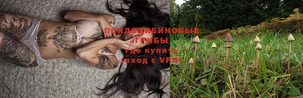 гидра Магадан