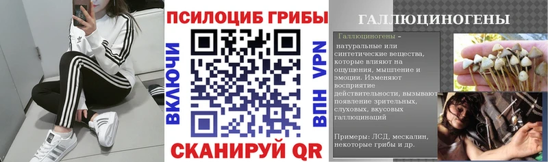 Галлюциногенные грибы прущие грибы Темрюк